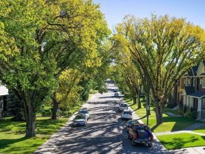 Banff Trail Calgary Neighbourhood